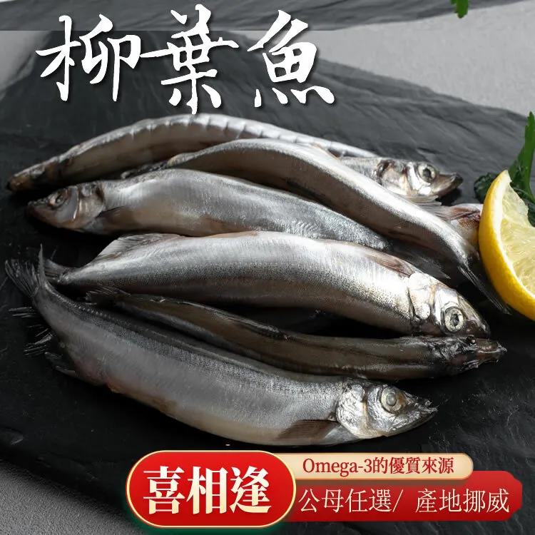 免運(團購超值組)公柳葉魚x5【挪威柳葉魚】🌞90B025